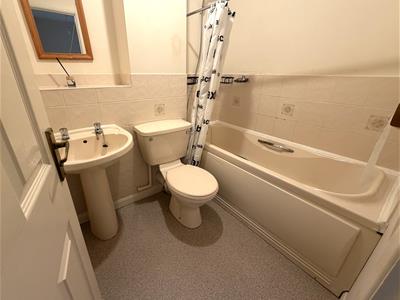 Picture 8